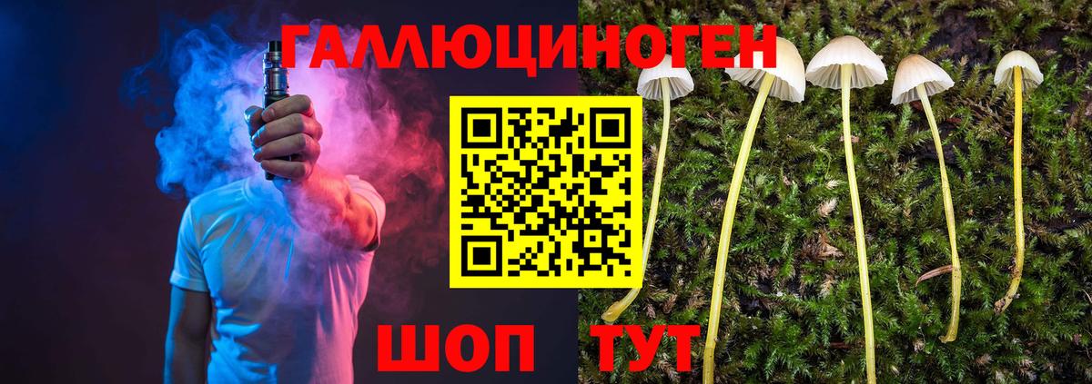 Псилоцибиновые грибы MAGIC MUSHROOMS Ноябрьск